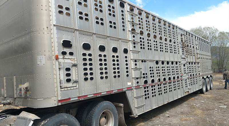Livestock Trailer